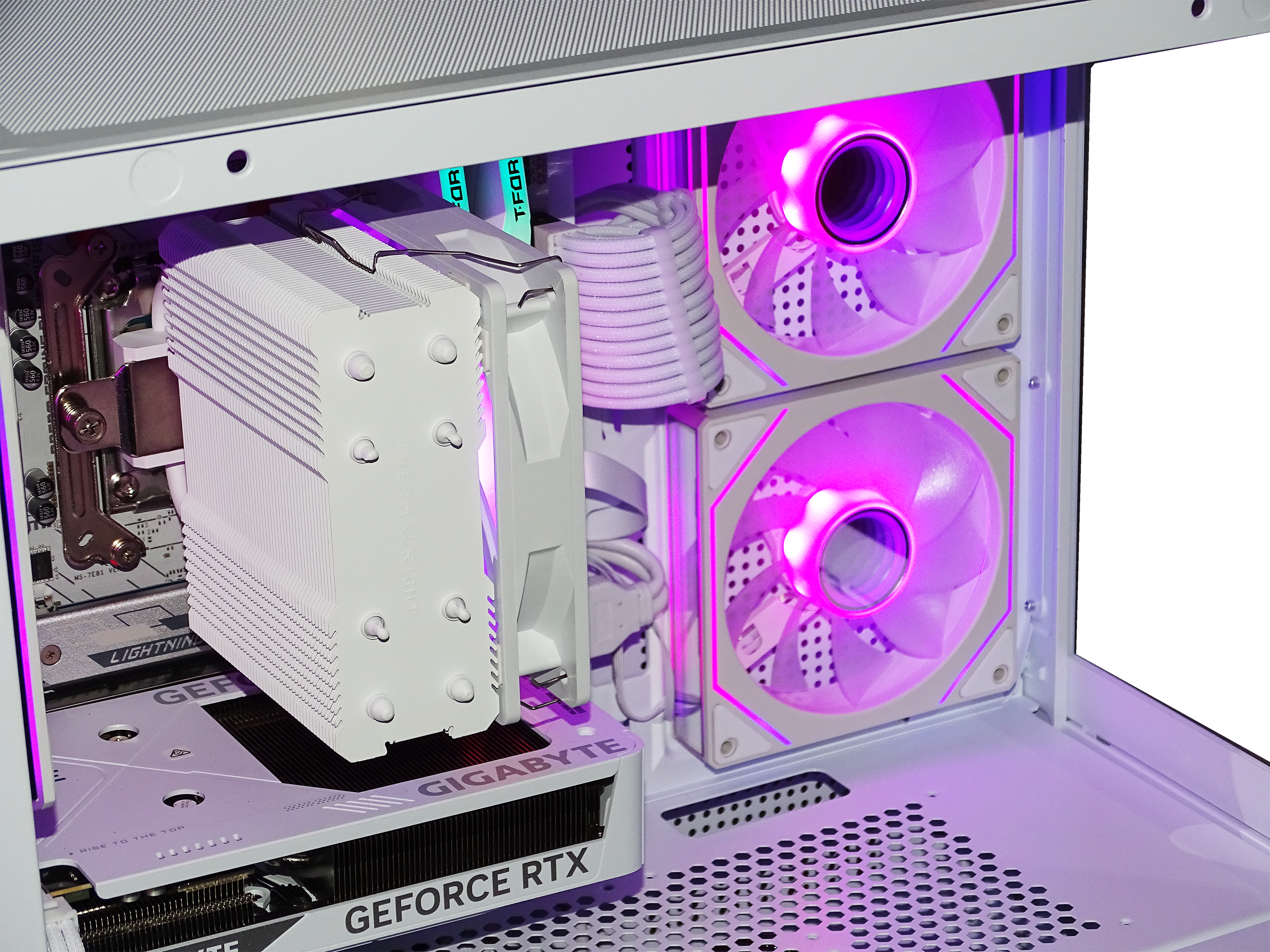 PANTHER Gaming PC